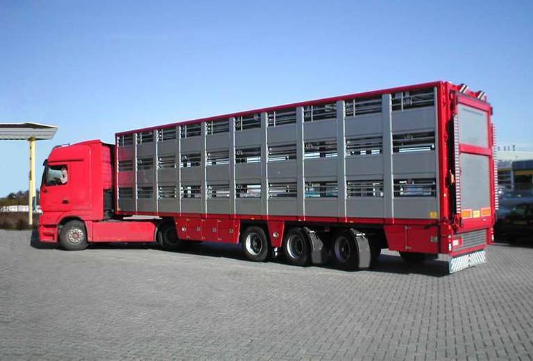 Прицеп для перевозки крупного рогатого скота из наримановскийрайона в Тюмень
