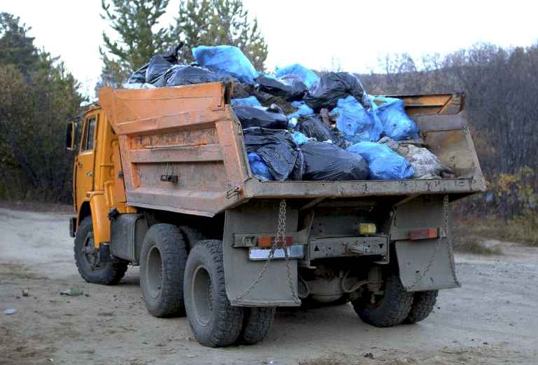 Сбор и вывоз бытовых отходов и мусора по Тюмени